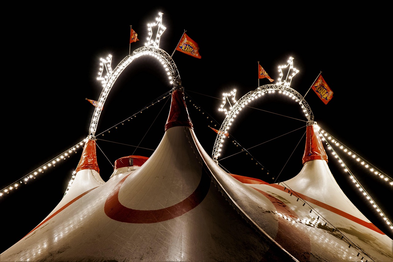 Circo
